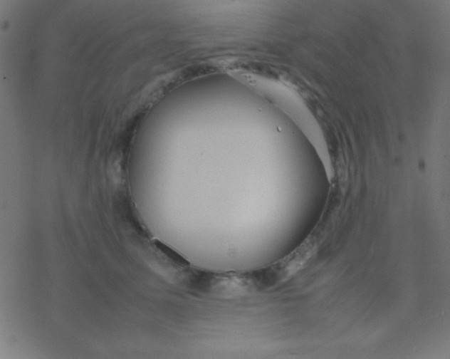 X0000077380611200611101731