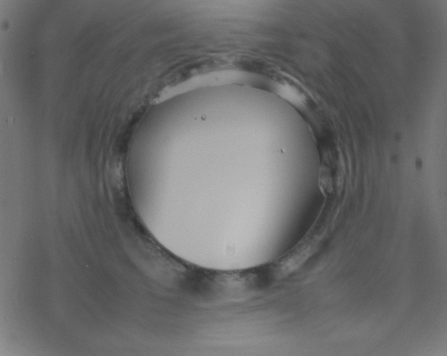 X0000077380613200611101731