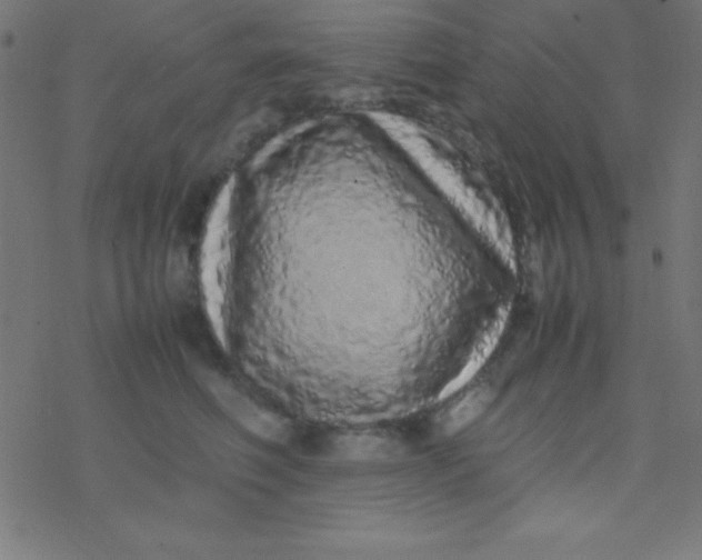 X0000077380614200611101731