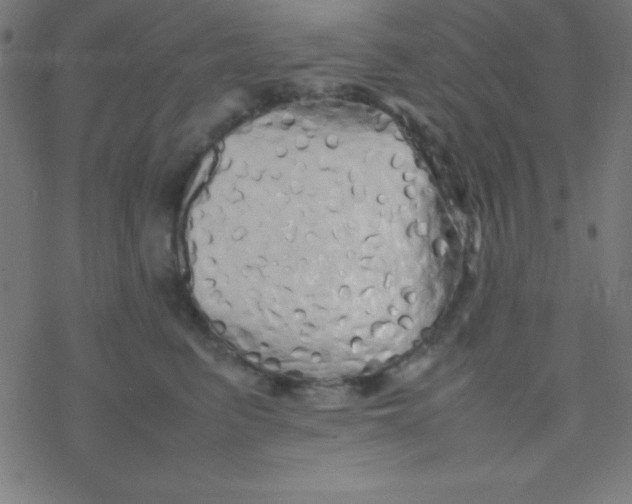 X0000077380615200611101731