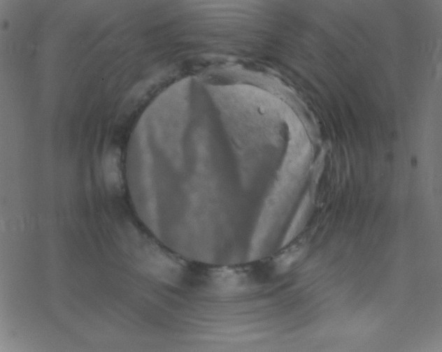 X0000077380616200611101731