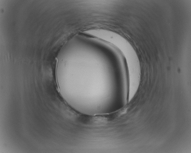 X0000077380617200611101731