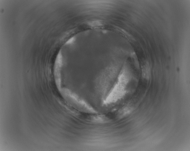 X0000077380618200611101731