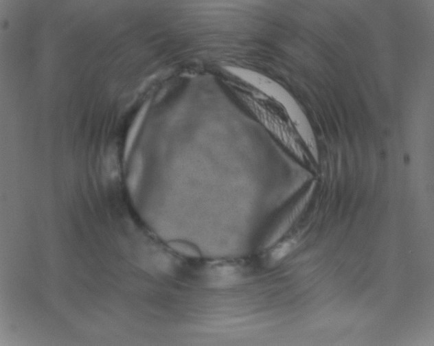 X0000077380620200611101731