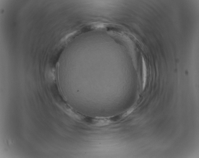 X0000077380621200611101731