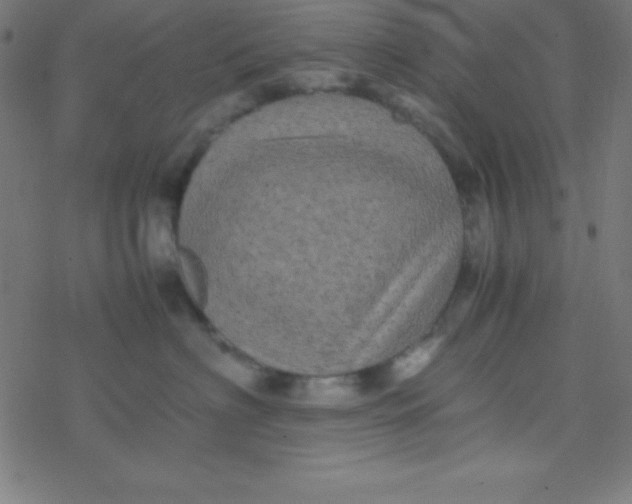 X0000077380622200611101731