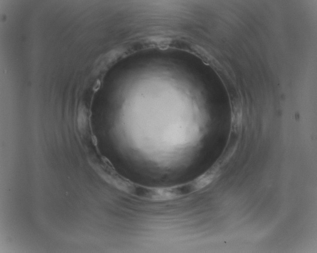 X0000077380623200611101731