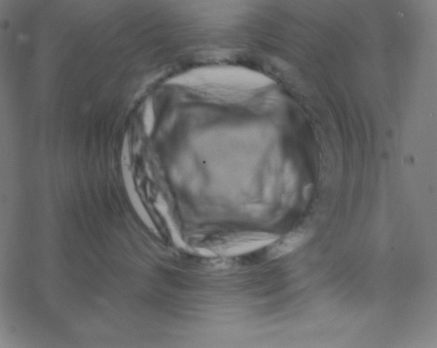 X0000077380624200611101731