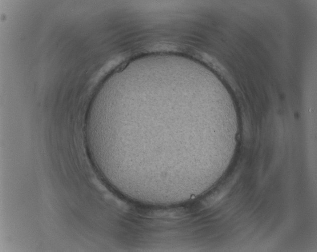 X0000077380625200611101730