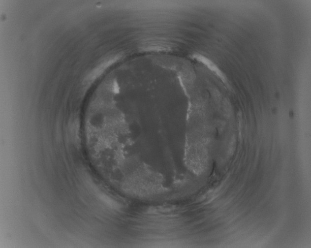 X0000077380627200611101730