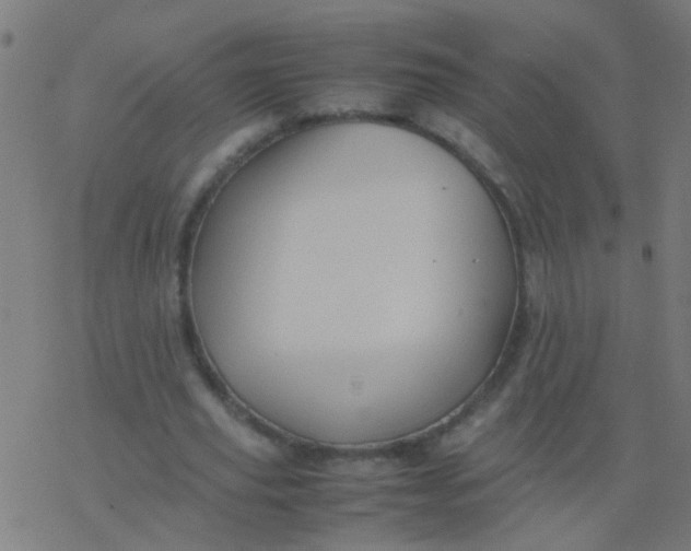 X0000077380629200611101730