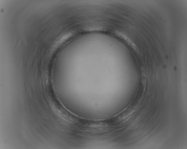 X0000077380631200611101730