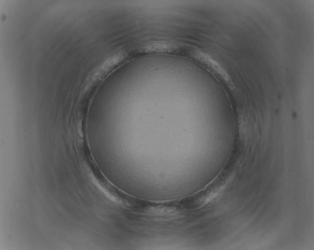 X0000077380633200611101730