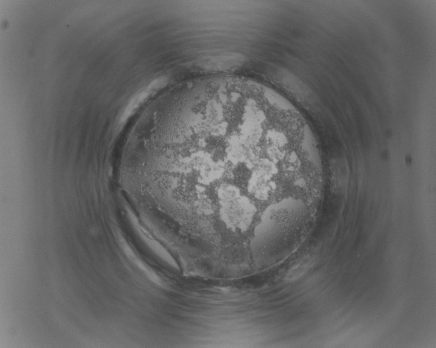 X0000077380634200611101730