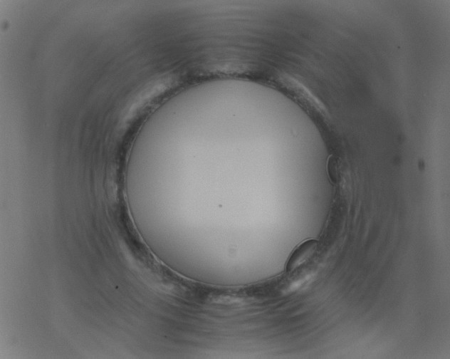 X0000077380635200611101730