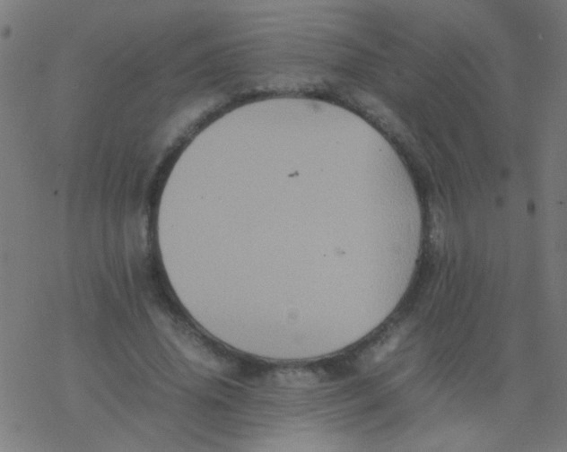 X0000077380636200611101730