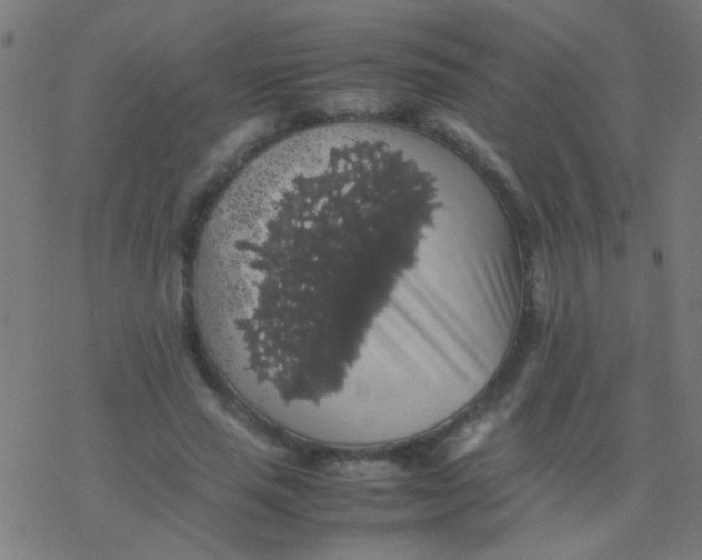 X0000077380637200611101730