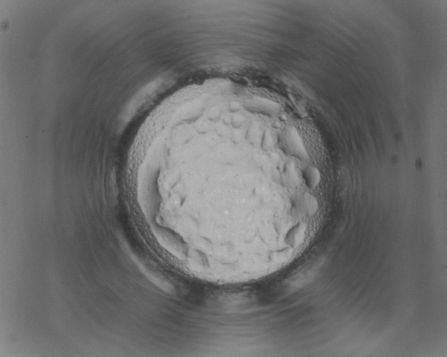 X0000077380638200611101730