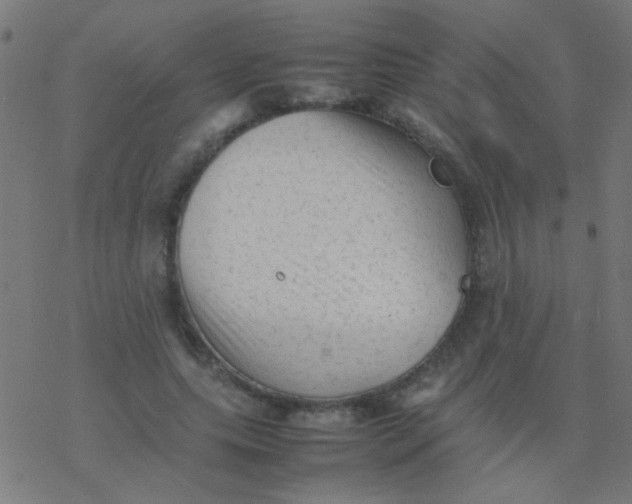 X0000077380639200611101730