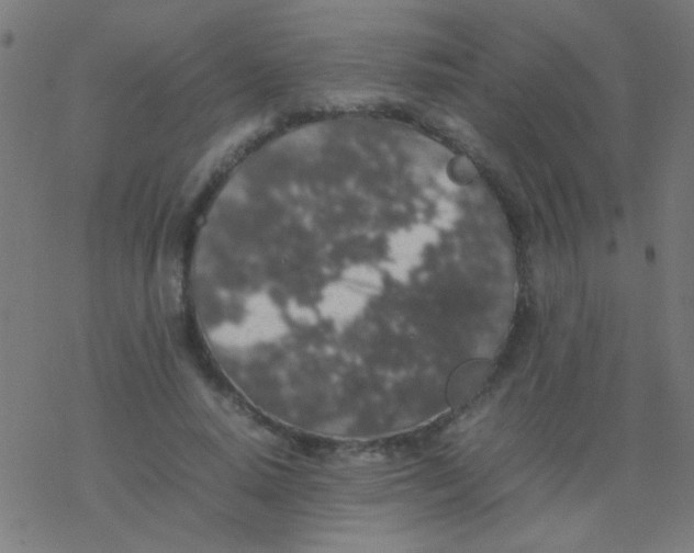 X0000077380640200611101730