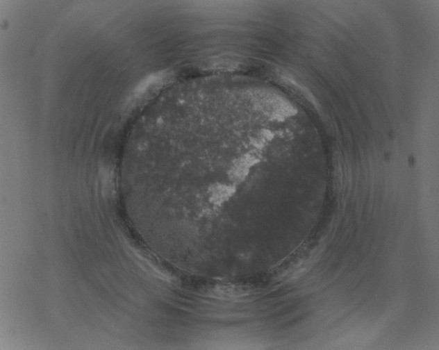 X0000077380641200611101730