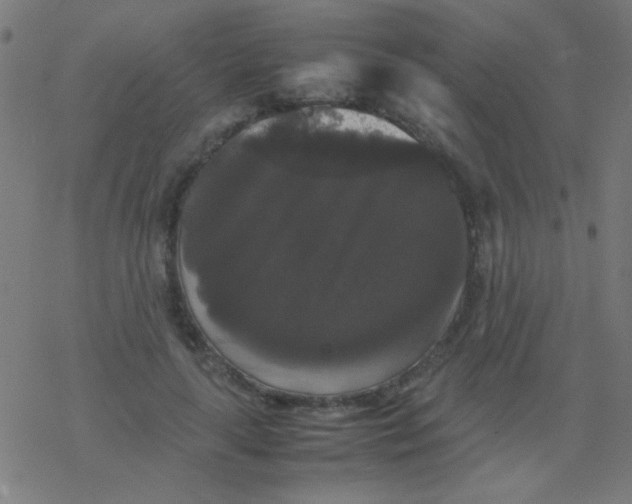 X0000077380643200611101730