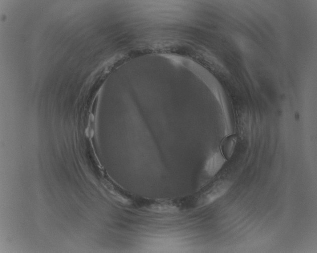 X0000077380644200611101730