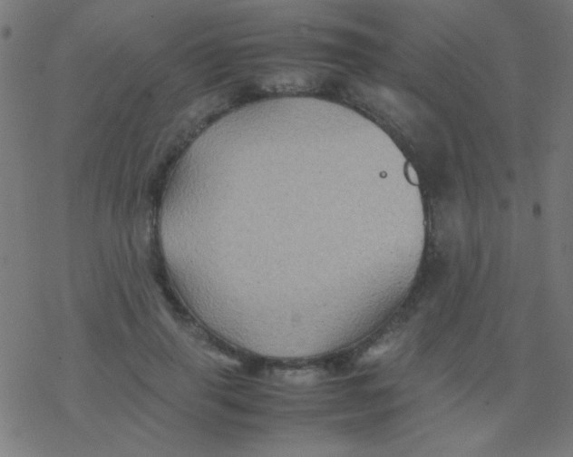 X0000077380645200611101730