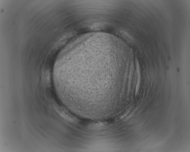 X0000077380646200611101730