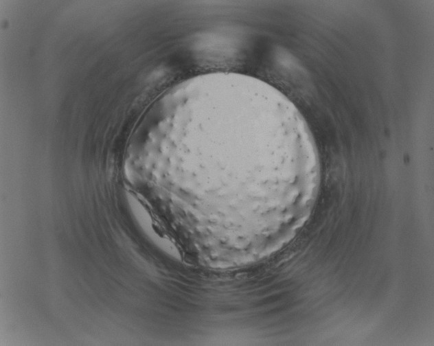 X0000077380647200611101730