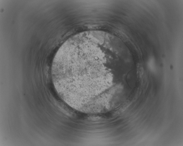 X0000077380650200611101730