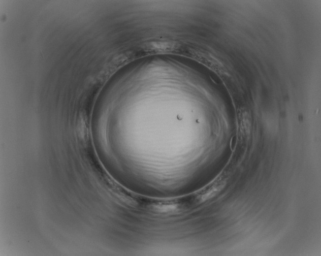 X0000077380651200611101730