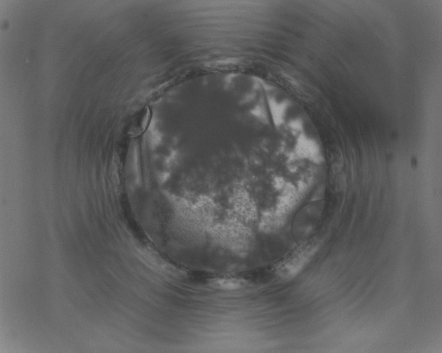 X0000077380654200611101730