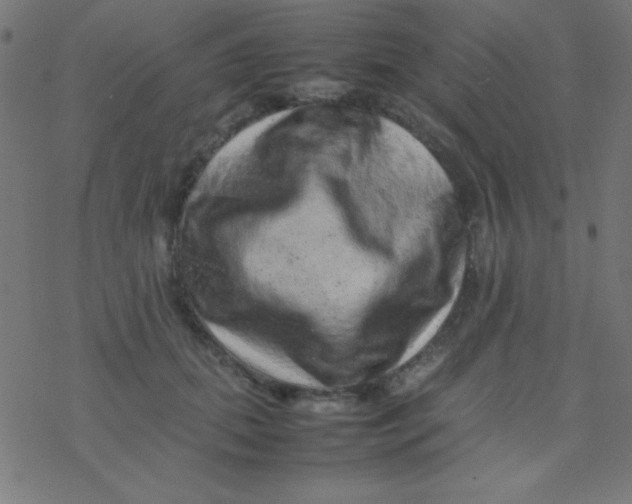 X0000077380655200611101730