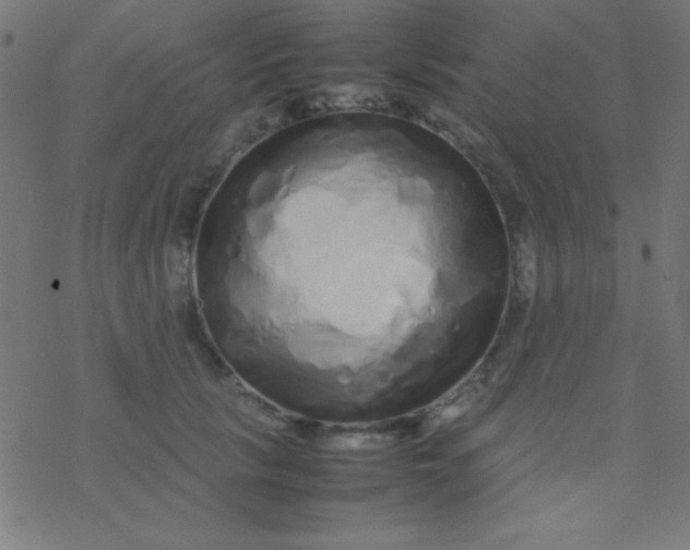 X0000077380657200611101731