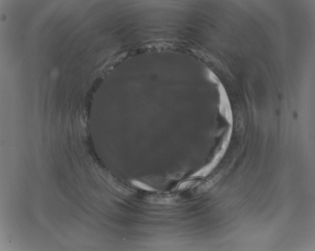 X0000077380661200611101731