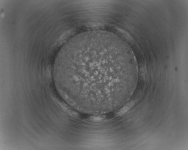 X0000077380662200611101731