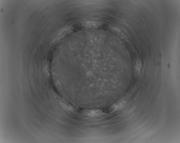 X0000077380663200611101731