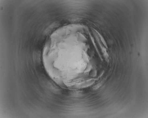 X0000077380664200611101731