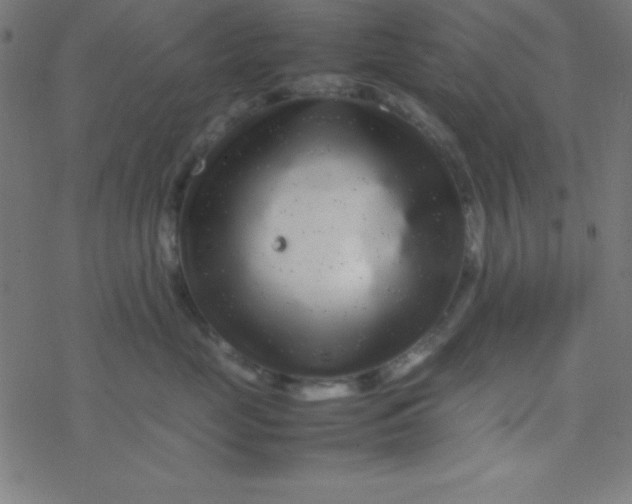 X0000077380669200611101731