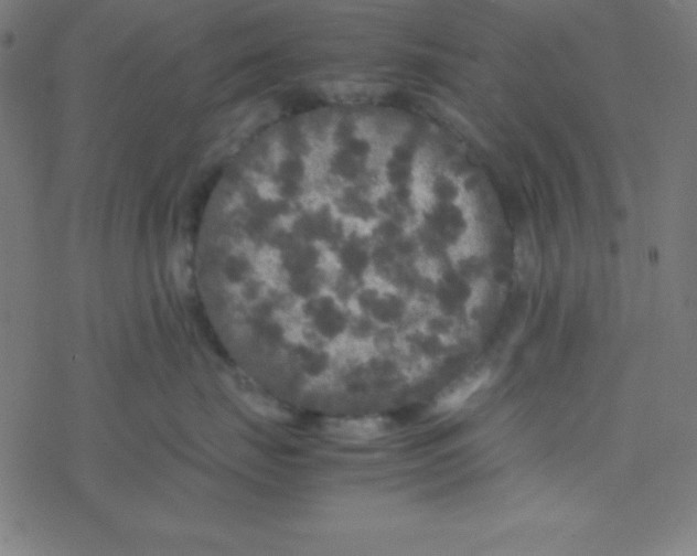 X0000077380671200611101731