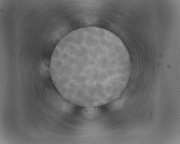 X0000077380672200611101731