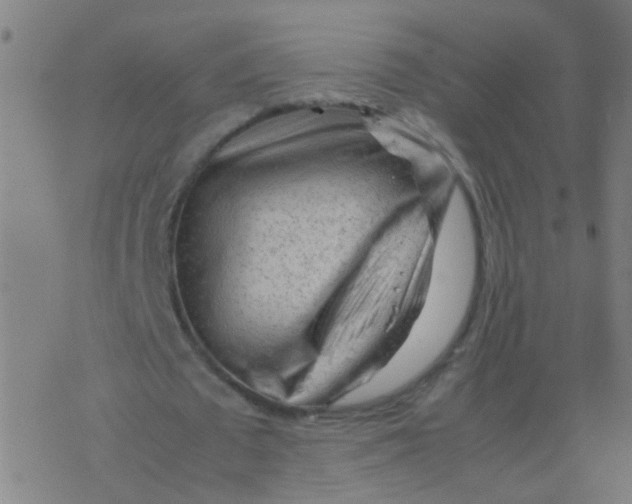 X0000077380673200611101730