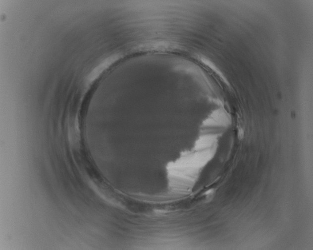 X0000077380674200611101730