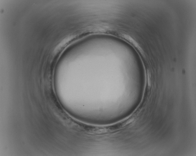 X0000077380675200611101730