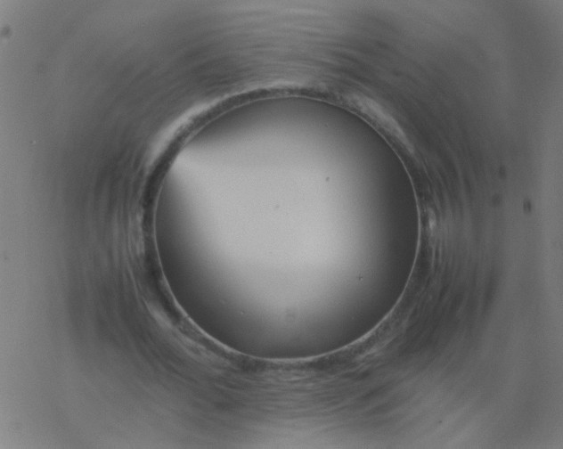 X0000077380676200611101730