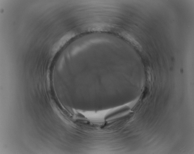 X0000077380678200611101730