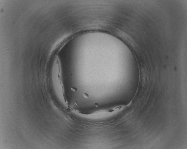 X0000077380680200611101730