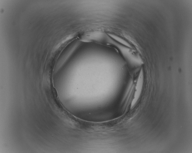 X0000077380681200611101730