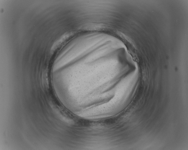 X0000077380682200611101730